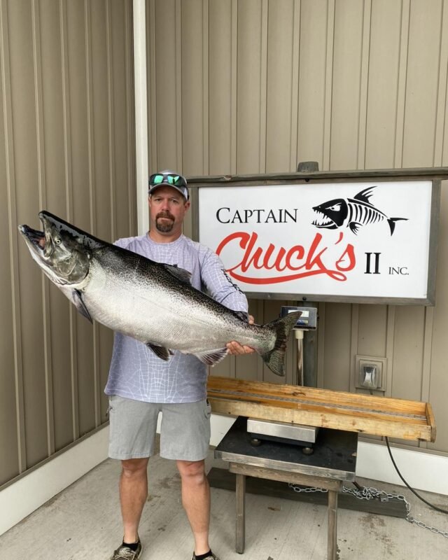 Captain Chucks fresh king salmon on display.